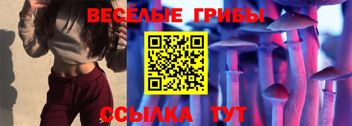 Рыбинск  Псилоцибиновые грибы Psilocybe  Вход с VPN  Псилоцибиновые грибы мухоморы 
